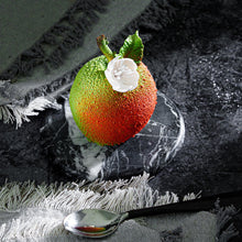 Load image into Gallery viewer, Cranberry Mousse